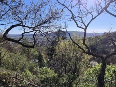 Grundstück kaufen in 2103 Langenzersdorf (Bild 2)