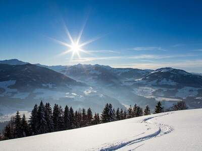 Gewerbeobjekt kaufen in 6363 Westendorf (Bild 2)