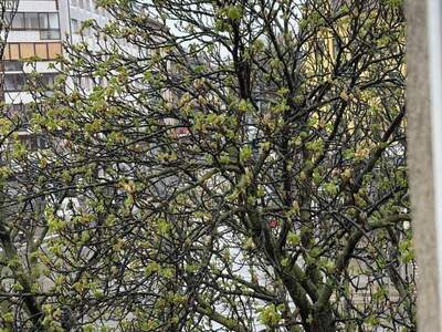 Mietwohnung in 1100 Wien