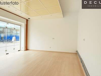 Gewerbeobjekt mieten in 2700 Wiener Neustadt (Bild 2)