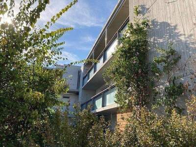 Wohnung mieten in 3500 Krems