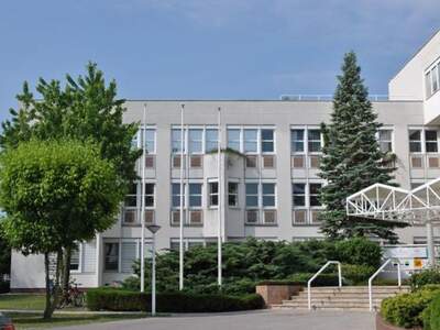 Gewerbeobjekt mieten in 1230 Wien (Bild 3)