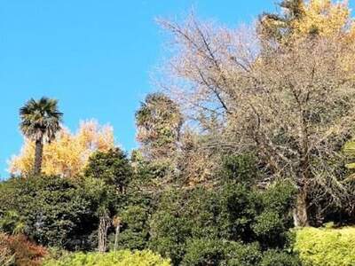 Wohnung kaufen in 6600 Locarno (Bild 4)