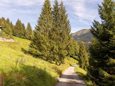 Grundstück kaufen in 6850 Dornbirn (Bild 5)
