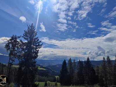 Haus mit Garten kaufen in 8742 Lavantegg (Bild 2)