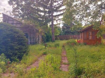 Haus kaufen in 2432 Schwadorf