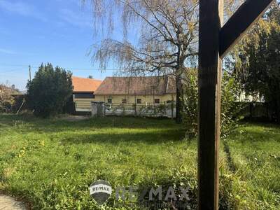 Grundstück kaufen in 3434 Katzelsdorf