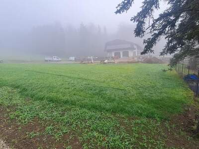 Grundstück kaufen in 4441 Behamberg