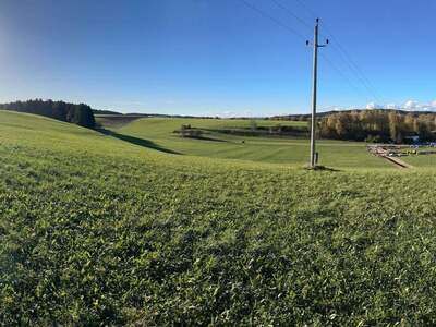 Grundstück kaufen in 4851 Gampern