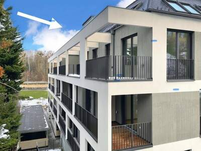 Wohnung provisionsfrei mieten in 3400 Klosterneuburg