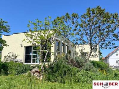 Haus kaufen in 7072 Mörbisch