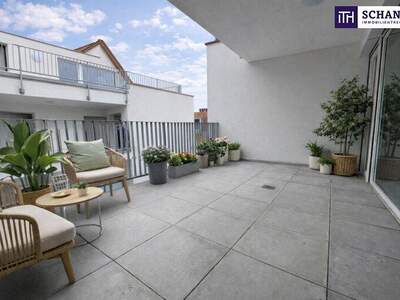 Terrassenwohnung kaufen in 2514 Traiskirchen (Bild 4)