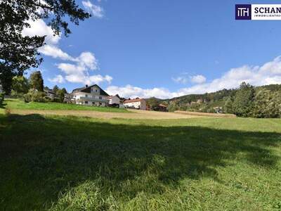 Grundstück kaufen in 8524 Bad Gams (Bild 3)