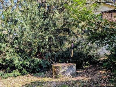 Grundstück kaufen in 3012 Wolfsgraben (Bild 4)