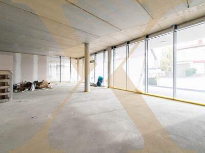 Halle / Lager / Produktion mieten in 4050 Traun