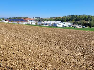 Grundstück kaufen in 4600 Thalheim