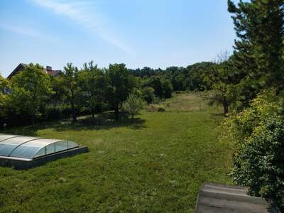 Grundstück kaufen in 2102 Hagenbrunn (Bild 4)