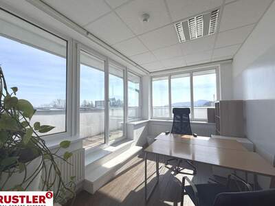 Gewerbeobjekt mieten in 2340 Mödling (Bild 2)
