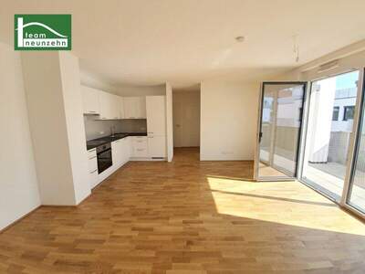 Terrassenwohnung mieten in 3100 St. Pölten (Bild 1)