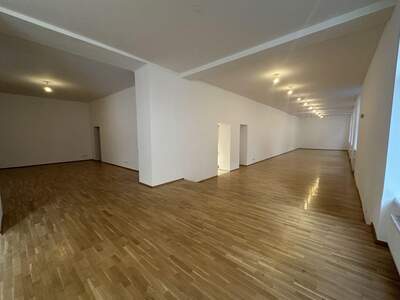 Gewerbeobjekt mieten in 1090 Wien (Bild 2)