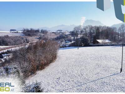 Grundstück kaufen in 4812 Pinsdorf (Bild 5)