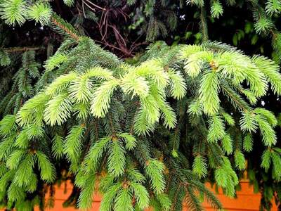 Eigentumswohnung in 8020 Graz (Bild 2)