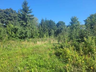 Grundstück kaufen in 4742 Pram