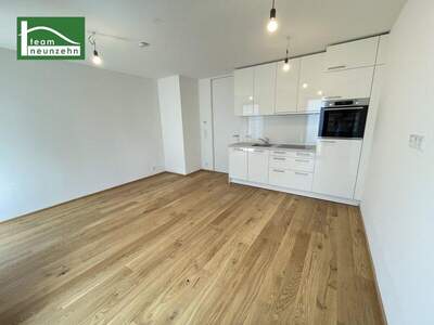 Terrassenwohnung mieten in 1160 Wien (Bild 4)