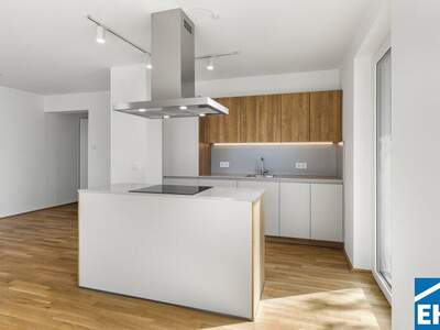 Terrassenwohnung mieten in 1200 Wien (Bild 2)