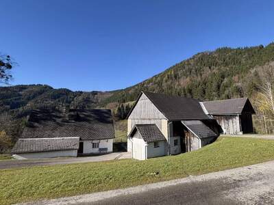 Haus kaufen in 3334 Gaflenz