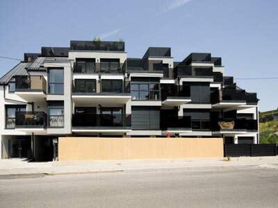 Halle / Lager / Produktion mieten in 1220 Wien (Bild 2)