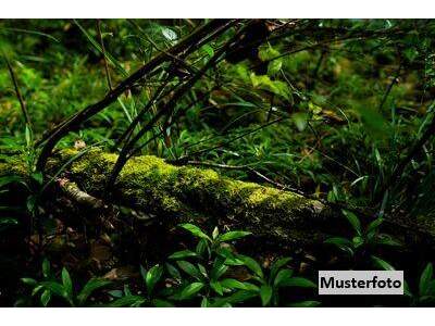 Grundstück kaufen in 6365 Kirchberg