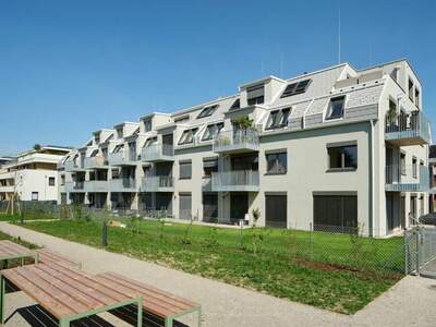 Terrassenwohnung mieten in 1220 Wien (Bild 3)