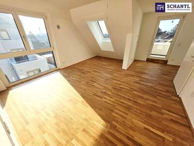 Terrassenwohnung kaufen in 1220 Wien (Bild 4)