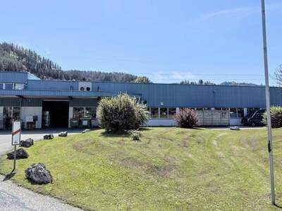 Gewerbeobjekt kaufen in 8650 Kindberg