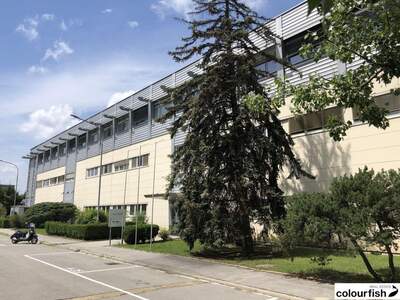 Gewerbeobjekt mieten in 1210 Wien (Bild 1)