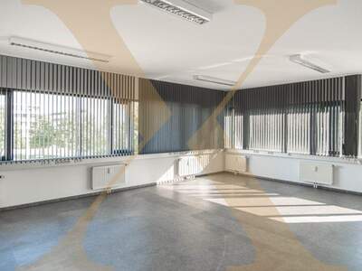 Büro / Praxis mieten in 4600 Wels (Bild 1)