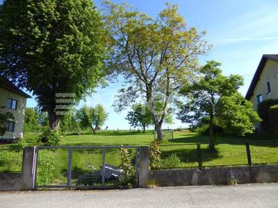 Grundstück kaufen in 4600 Wels (Bild 4)