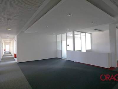 Gewerbeobjekt mieten in 2320 Schwechat