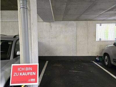 Halle / Lager / Produktion kaufen in 4222 Sankt Georgen (Bild 1)