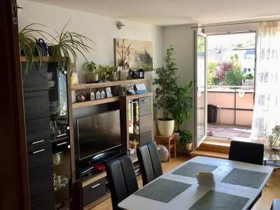 Wohnung provisionsfrei mieten in 2410 Hainburg