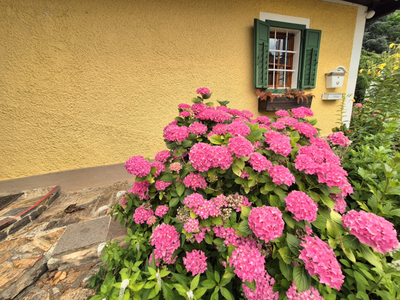 Haus kaufen in 8345 Kronnersdorf (Bild 3)