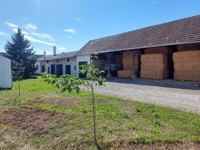 Haus kaufen in 2253 Tallesbrunn