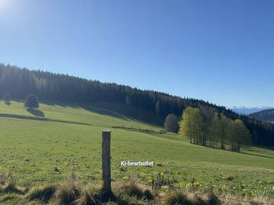 Gewerbeobjekt kaufen in 8720 Sankt Margarethen