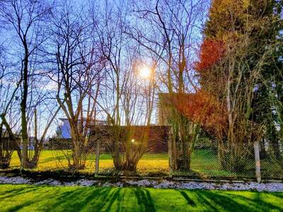 Eigentumswohnung in 4910 Ried (Bild 3)