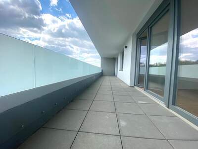 Terrassenwohnung mieten in 2700 Wr. Neustadt (Bild 5)