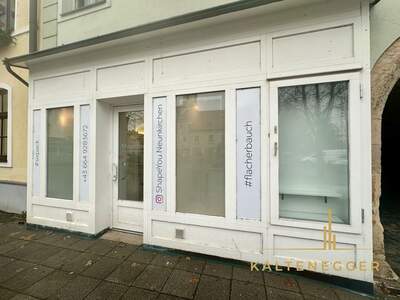 Gewerbeobjekt mieten in 2620 Neunkirchen (Bild 1)