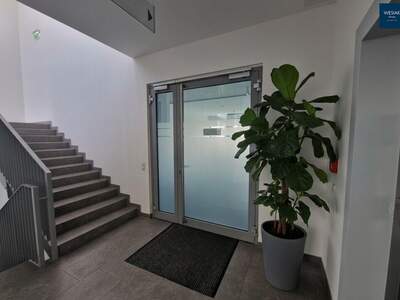 Gewerbeobjekt mieten in 8042 Graz (Bild 2)