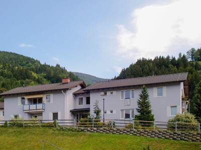 Terrassenwohnung mieten in 8900 Selzthal (Bild 1)