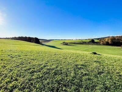 Grundstück kaufen in 4851 Gampern